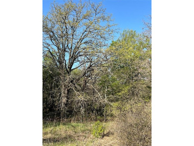 Vacant Lot to build your dream home or vacation home! Bring your - photo 9