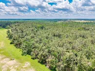 A Once-in-a-Generation, Entitled 880-Acre Development - Ready - photo 20