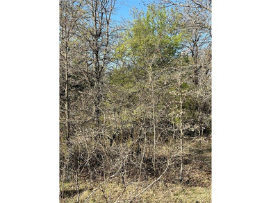 Vacant Lot to build your dream home or vacation home! Bring your - photo 10