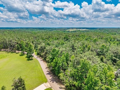 A Once-in-a-Generation, Entitled 880-Acre Development - Ready - photo 21
