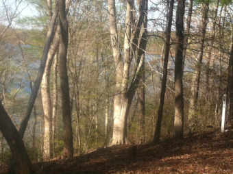 'GREAT DOCKABLE WOODED COVE LOT' walking distance to community pa - Lake Lot For Sale in Lynch Station, Virginia