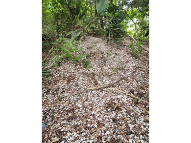 (private lake, pond, coastal) Lot For Sale in Ponchatoula Louisiana