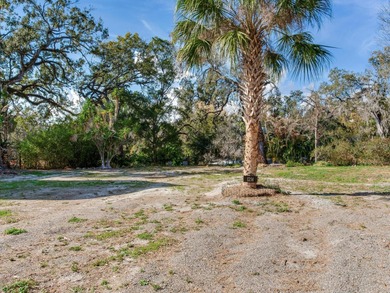 (private lake, pond, coastal) Lot For Sale in Tampa Florida