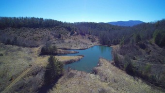 (private lake) Acreage For Sale in Elk Creek Virginia