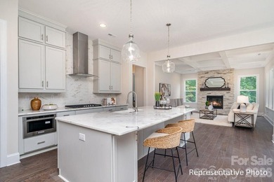 NEW CONSTRUCTION, NO HOA, and LESS THAN 90 DAYS TO COMPLETION in - photo 4
