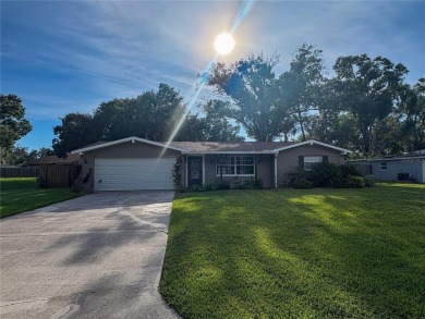 Lake Home For Sale in Land O Lakes, Florida