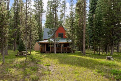 Lake Home For Sale in Chemult, Oregon
