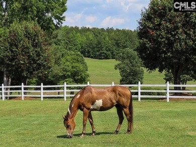 Flat Rock Farm: The Ultimate 153-Acre Legacy Estate. Welcome to - photo 20