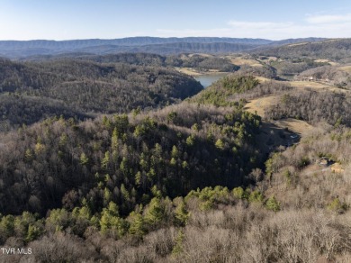 Lake Acreage For Sale in Butler, Tennessee