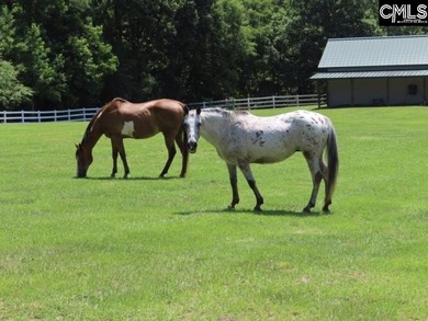Flat Rock Farm: The Ultimate 153-Acre Legacy Estate. Welcome to - photo 43