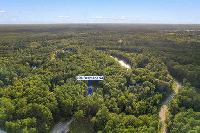 Experience the best of coastal Carolina living at this beautiful - photo 46