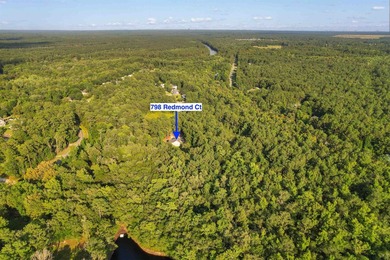 Experience the best of coastal Carolina living at this beautiful - photo 48