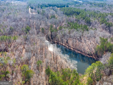 (private lake, pond, coastal) Acreage For Sale in Moreland Georgia