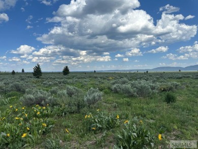 Lake Acreage For Sale in Island Park, Idaho
