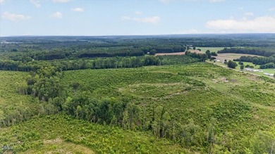 Warren County acreage (84.31 acres) with extensive public road - photo 1