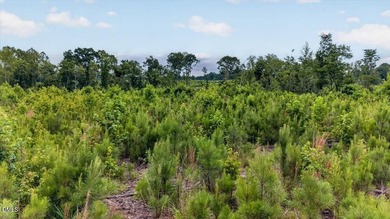 Warren County acreage (84.31 acres) with extensive public road - photo 5