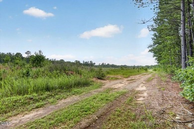 Warren County acreage (84.31 acres) with extensive public road - photo 7