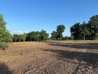 Lake Lot For Sale in Princeton, Texas