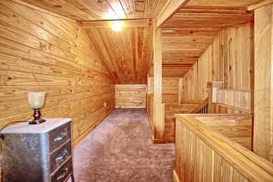 TX sized Barndo on 2.763 acres overlooking Toledo Bend Lake! If - photo 25