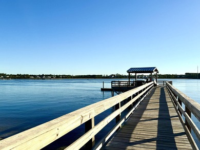 Steps away from the Wando River, 116 Low Tide Court is move-in - photo 52