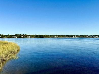 Steps away from the Wando River, 116 Low Tide Court is move-in - photo 54