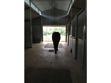 38 +/- acres in Sendero Ridge- horse ready, private & - photo 4