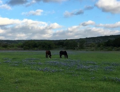 38 +/- acres in Sendero Ridge- horse ready, private & - photo 5