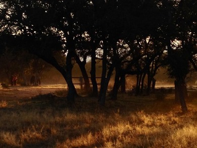 38 +/- acres in Sendero Ridge- horse ready, private & - photo 6