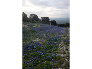 38 +/- acres in Sendero Ridge- horse ready, private & - photo 7