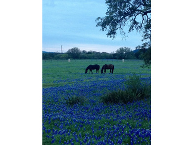 38 +/- acres in Sendero Ridge- horse ready, private & - photo 8