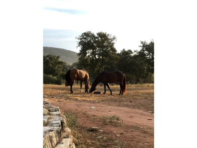 38 +/- acres in Sendero Ridge- horse ready, private & - photo 10