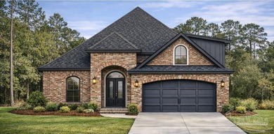 Rare presale opportunity with Coastal Homebuilders Inc in the - photo 3