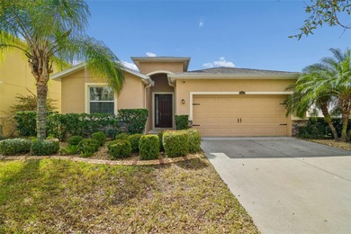 (private lake, pond, coastal) Home For Sale in Riverview Florida
