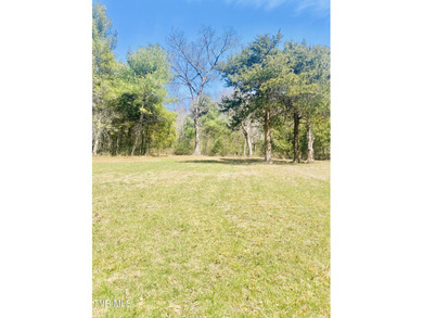 Watauga Lake Lot For Sale in Butler Tennessee