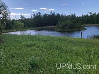 Lake Acreage Off Market in Hermansville, Michigan