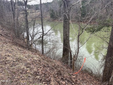 Lake Lot For Sale in Butler, Tennessee