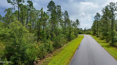 (private lake, pond, coastal) Acreage For Sale in Fountain Florida