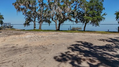 Waterfront vacant land with 198 feet on Choctawhatchee Bay. This - photo 11