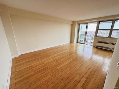 JUST LISTED! MOVE-IN READY 1 BEDROOM, 1 BATH CO-OP IN BRONX NY - photo 15