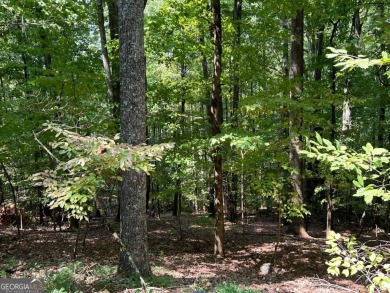 Lake Dakwa Lot For Sale in Ellijay Georgia