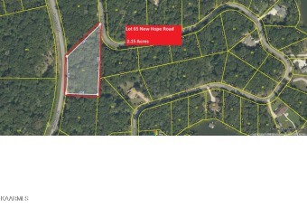 Wow,...I think this is one of the very best lakeview lots in - Lake Lot For Sale in Rockwood, Tennessee