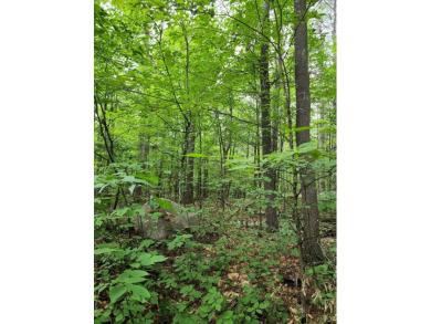Lake Lot Off Market in Jay, New York