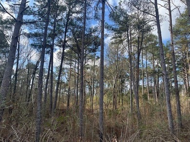 Discover the perfect mix of opportunity and nature with this - photo 16