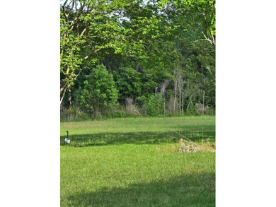 READY TO TO BUILD YOUR DREAM HOME?! THIS 4.319+/- ACRE LAND - photo 11