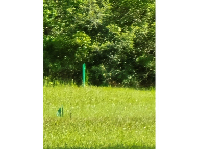 READY TO TO BUILD YOUR DREAM HOME?! THIS 4.319+/- ACRE LAND - photo 13