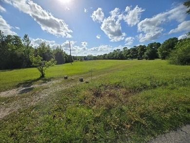 READY TO TO BUILD YOUR DREAM HOME?! THIS 4.319+/- ACRE LAND - photo 19