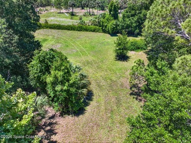 Ready to build and packed with potential, this cleared and - photo 5