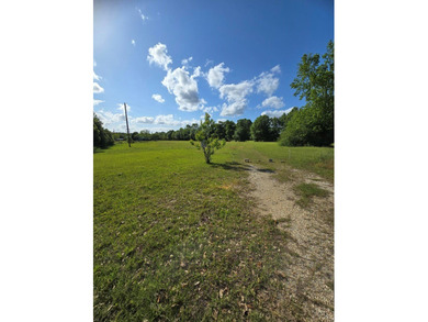 READY TO TO BUILD YOUR DREAM HOME?! THIS 4.319+/- ACRE LAND - photo 28