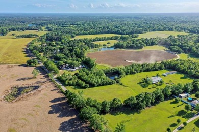 READY TO TO BUILD YOUR DREAM HOME?! THIS 4.319+/- ACRE LAND - photo 35