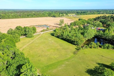 READY TO TO BUILD YOUR DREAM HOME?! THIS 4.319+/- ACRE LAND - photo 36